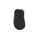 2-1-Oavq
